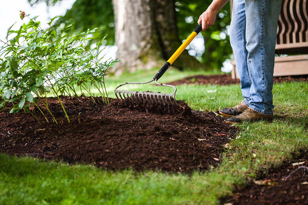 How mulch money can you save on landscaping