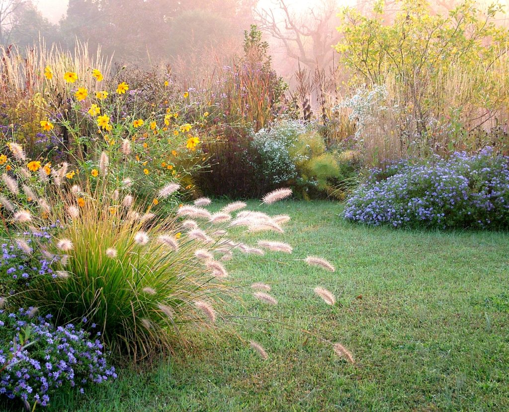 A beautiful fall (autumn) garden that includes flowers, seedheads, and foliage of perennials, grasses, and woody plants, with lawn; copy space